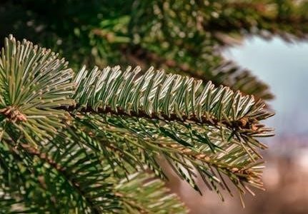 ashcroft and mermin pdf