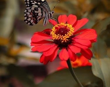 kolaru pathigam in tamil pdf