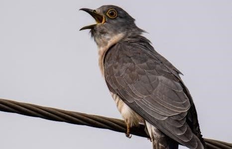 the call of the wild pdf