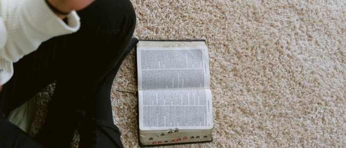 the story bible study guide pdf